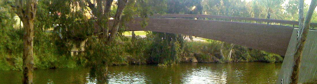 ברוכים הבאים למשרד שלי